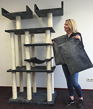 arbre a chat maine coon amazon